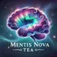 mentisnovatea.com
